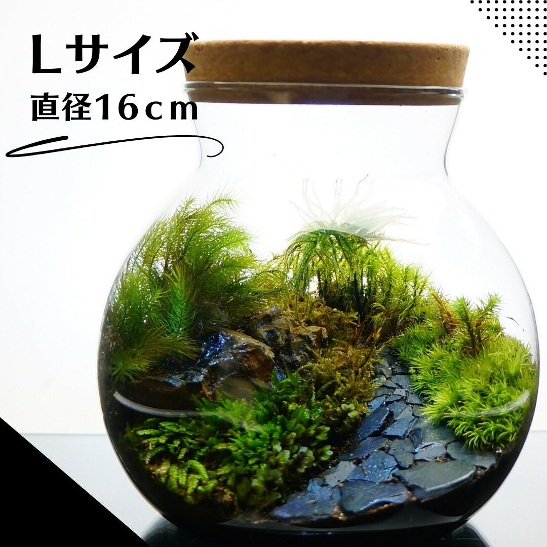 草原に続く道 — 南信州産 苔テラリウム 完成品 LEDライト付