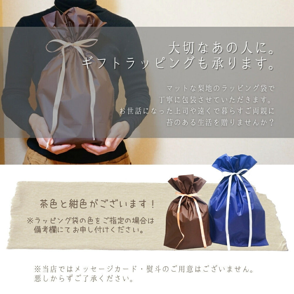 沢のせせらぎ — 南信州産 苔テラリウム 完成品