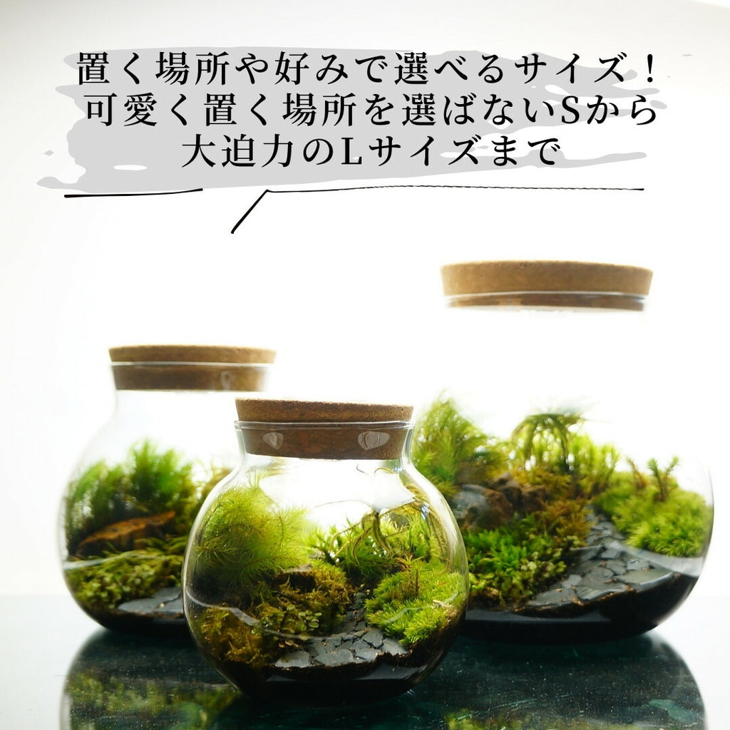 和風庭園 — 南信州産 苔テラリウム 完成品 LEDライト付