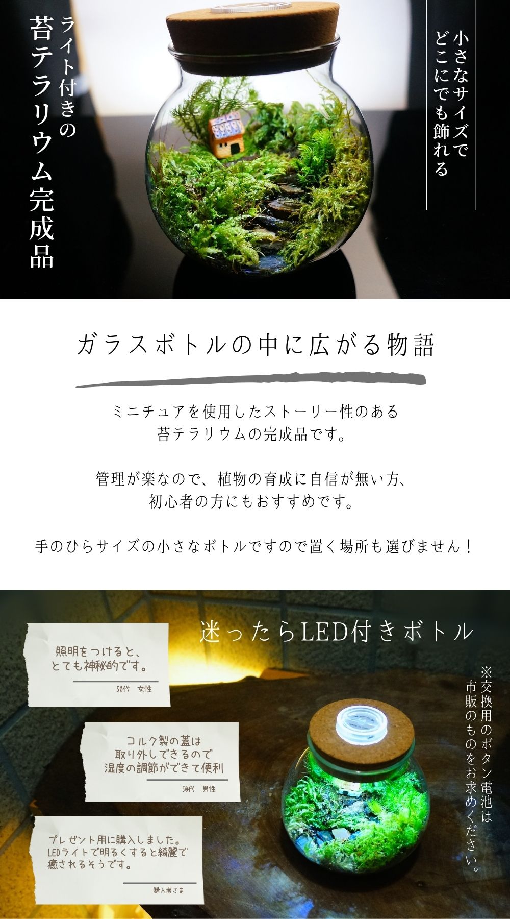マフラーを忘れた日 — 南信州産 苔テラリウム 完成品 LEDライト付