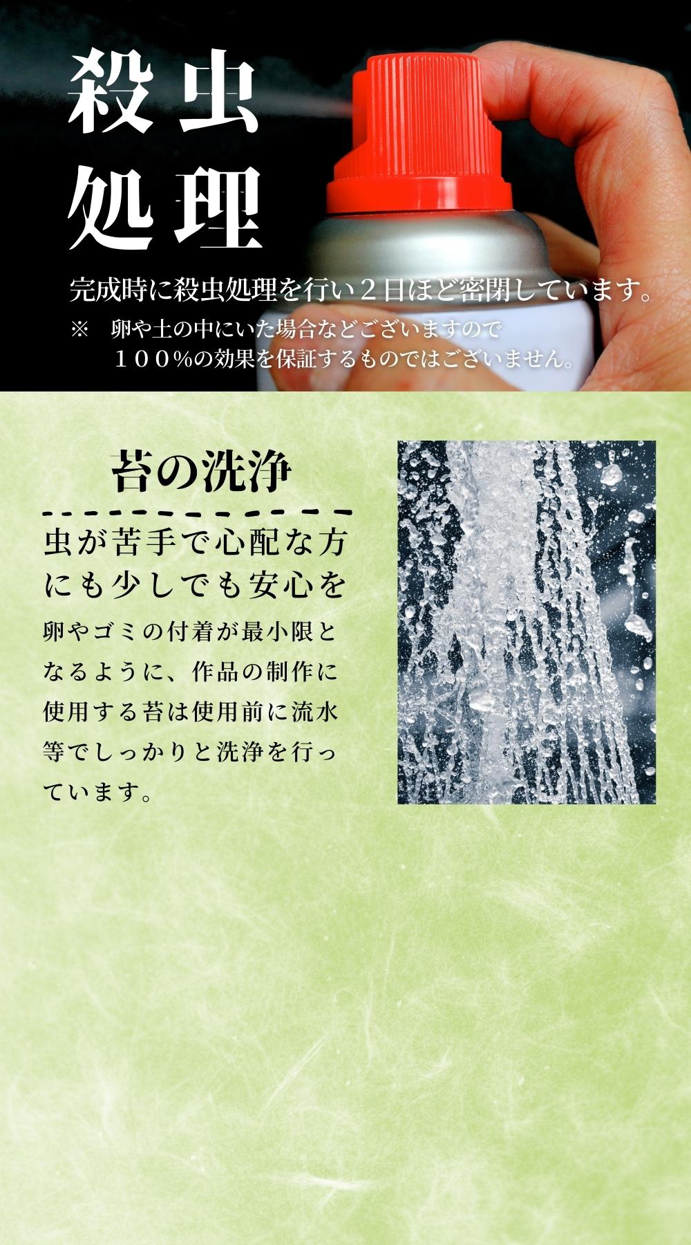 至高の食事処 — 南信州産 苔テラリウム 完成品 LEDライト付