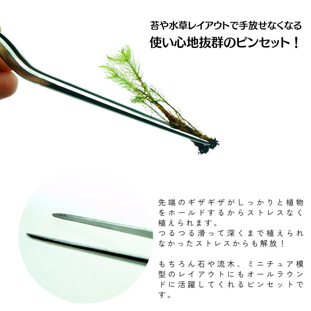 ルーツェ型ピンセット — 圧倒的に植えやすい ステンレス