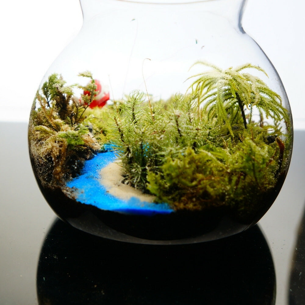 雪景色 — 南信州産 苔テラリウム 完成品 LEDライト付