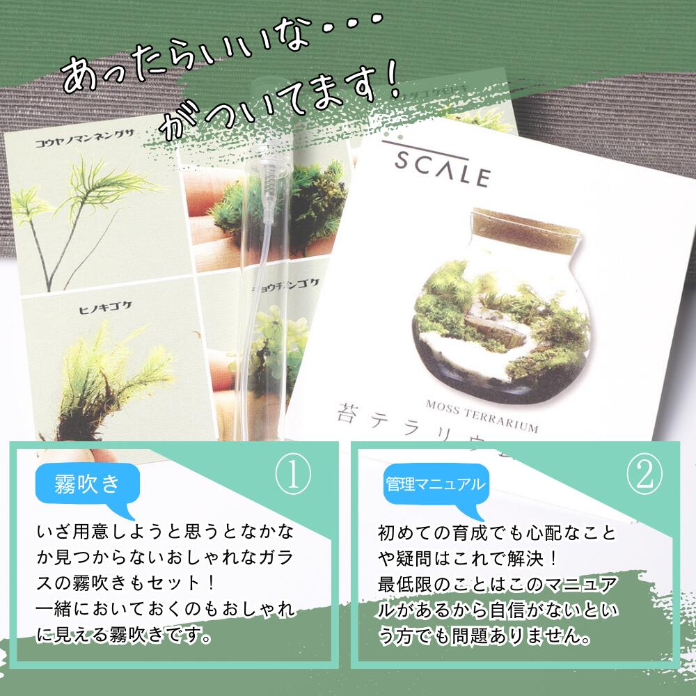 読みかけの文庫本 — 南信州産 苔テラリウム 完成品 LEDライト付