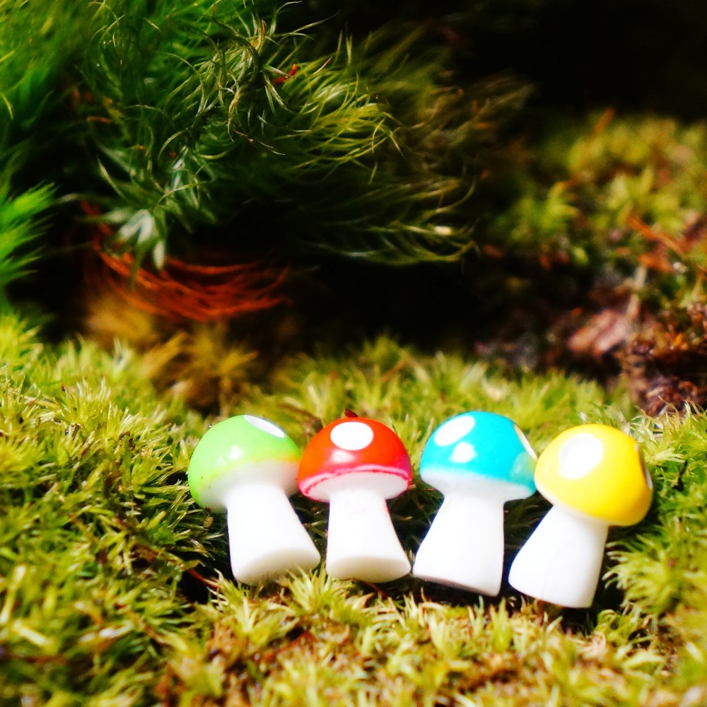 小さなキノコ｜苔テラリウム用ミニチュア
