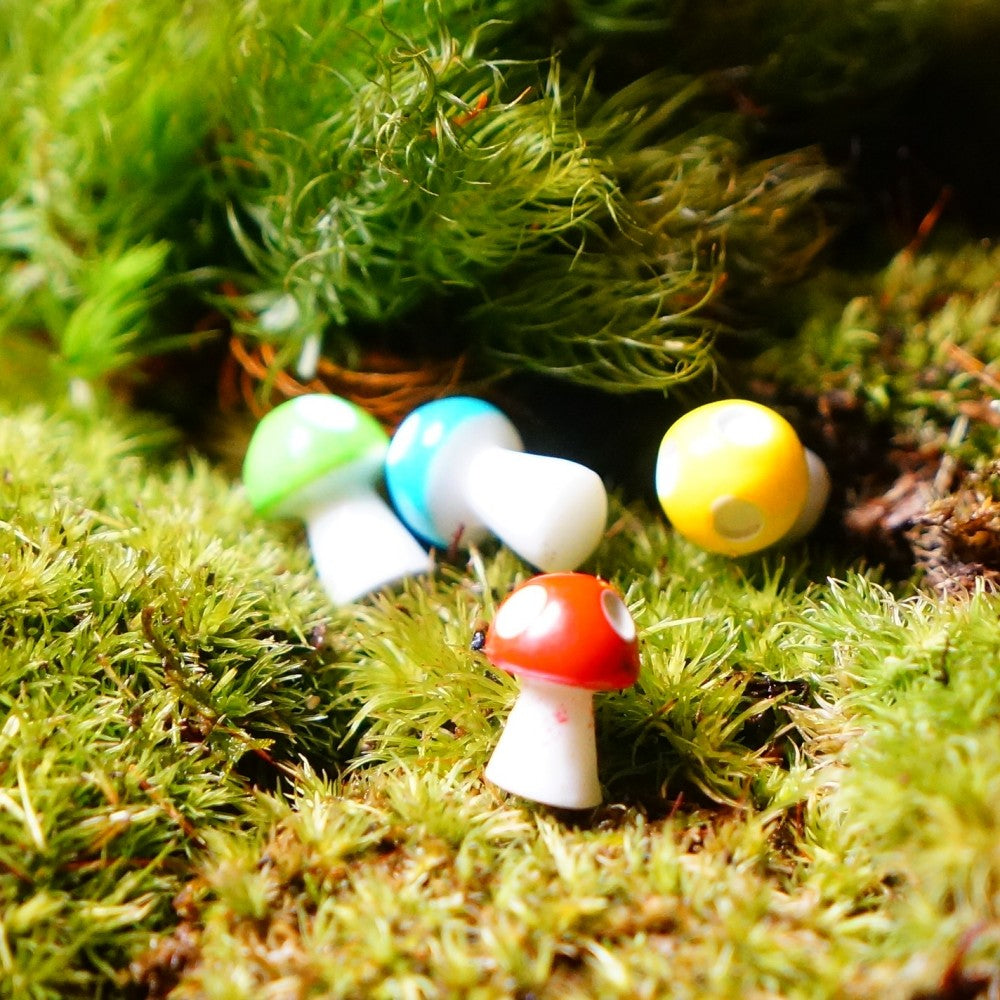 小さなキノコ｜苔テラリウム用ミニチュア