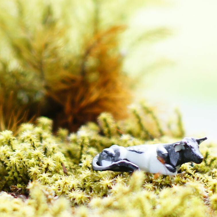 ウシ｜苔テラリウム用ミニチュア