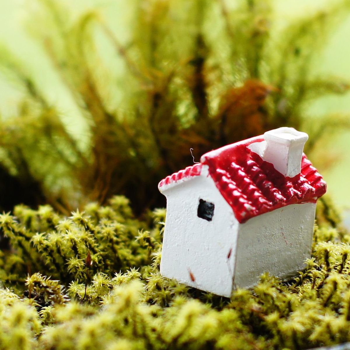 カラフルな屋根の家（赤・緑）｜苔テラリウム用ミニチュア