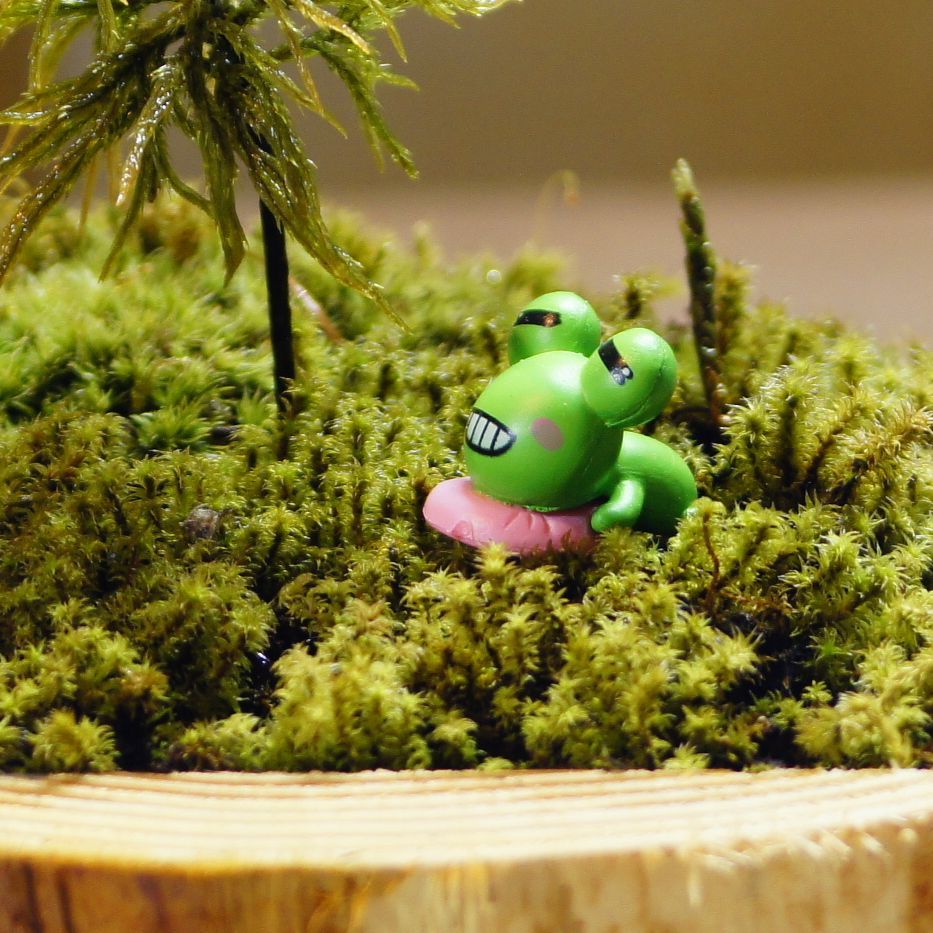 カエル（座り姿）｜苔テラリウム用ミニチュア
