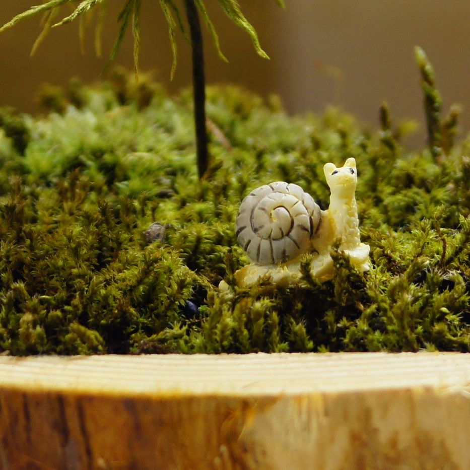 カタツムリ（赤・黄・紫）｜苔テラリウム用ミニチュア