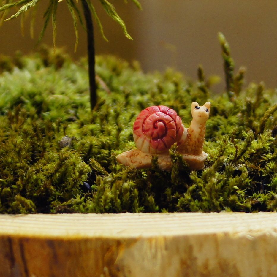 カタツムリ（赤・黄・紫）｜苔テラリウム用ミニチュア