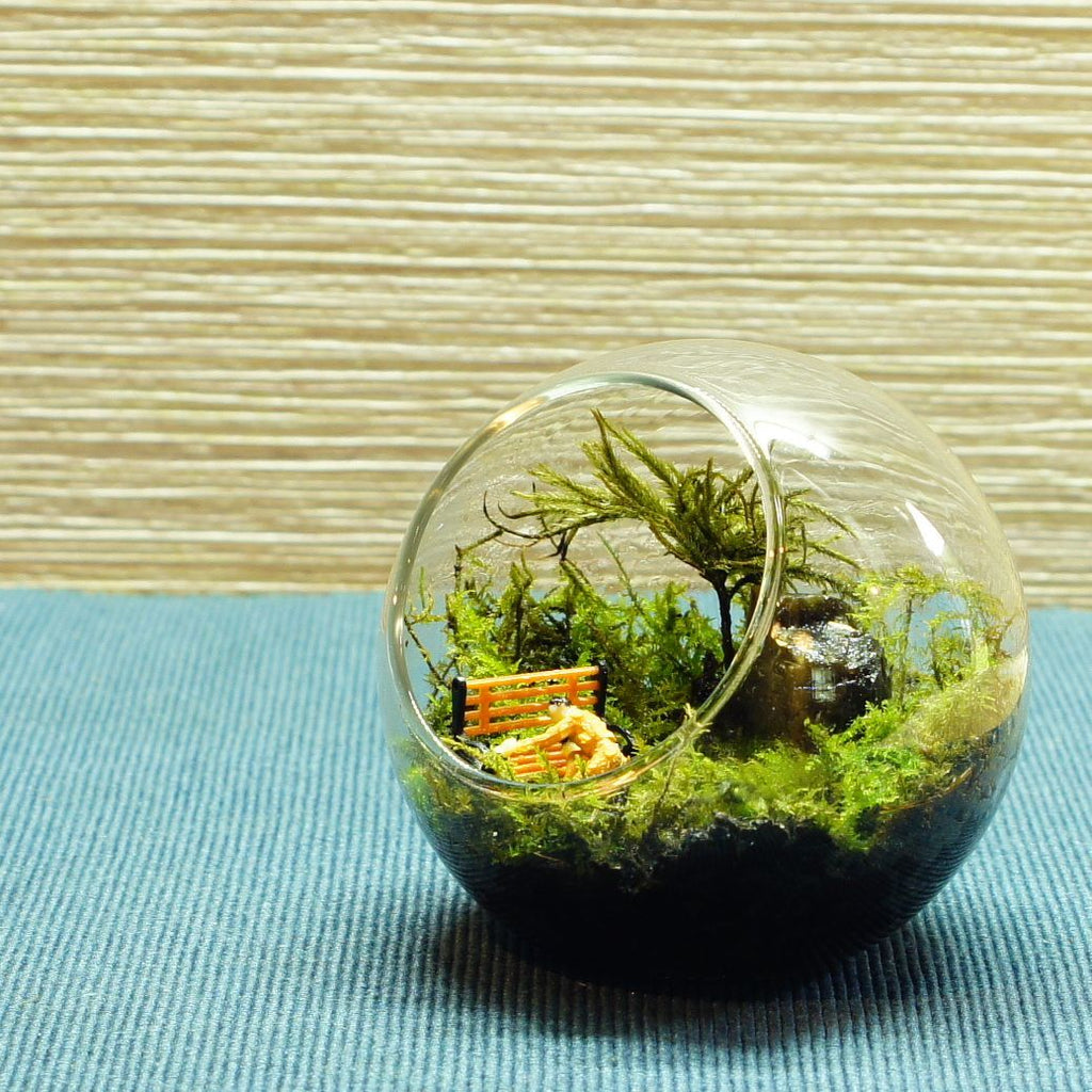 誰かのために、今日も — 南信州産 苔テラリウム 完成品