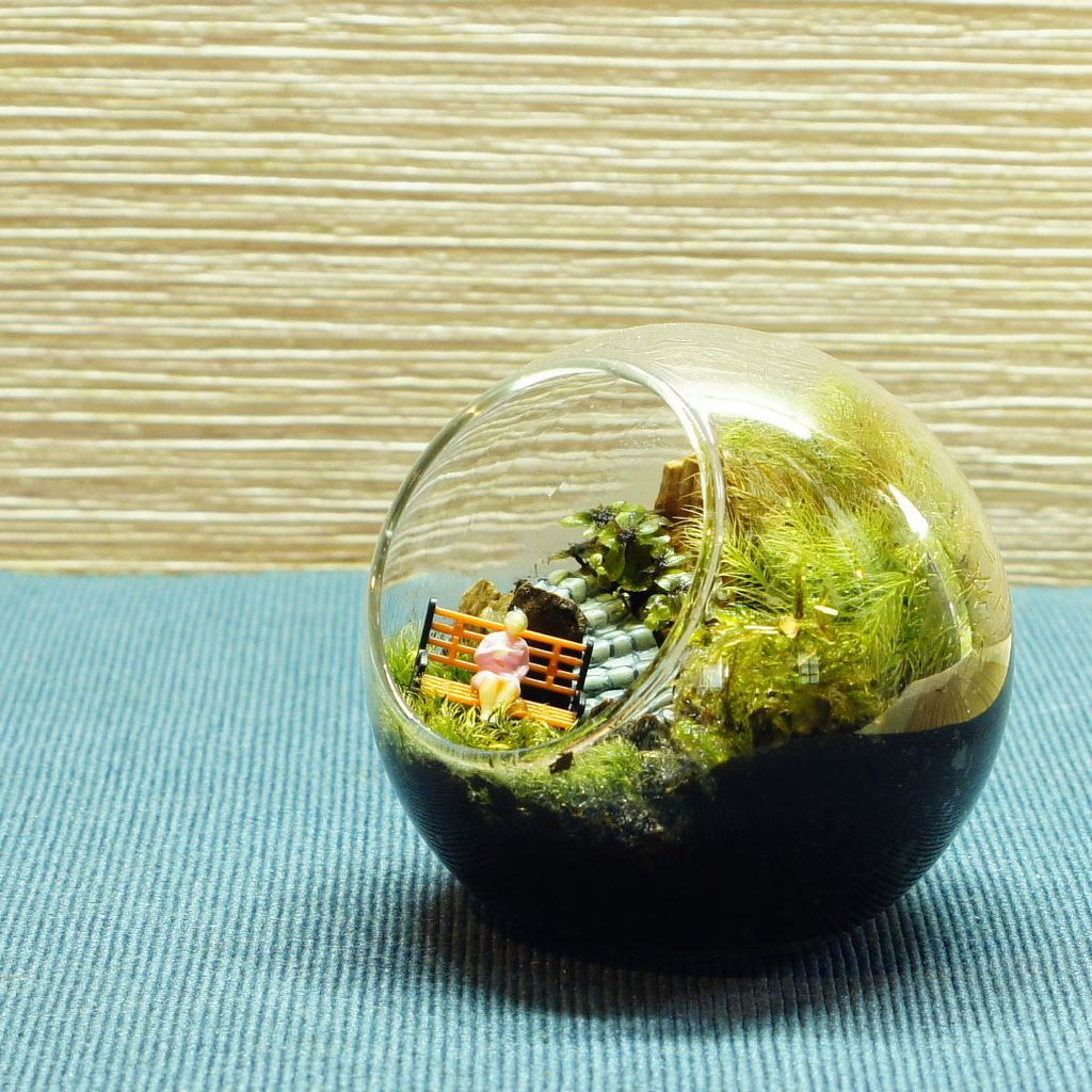 読みかけの文庫本 — 南信州産 苔テラリウム 完成品 LEDライト付