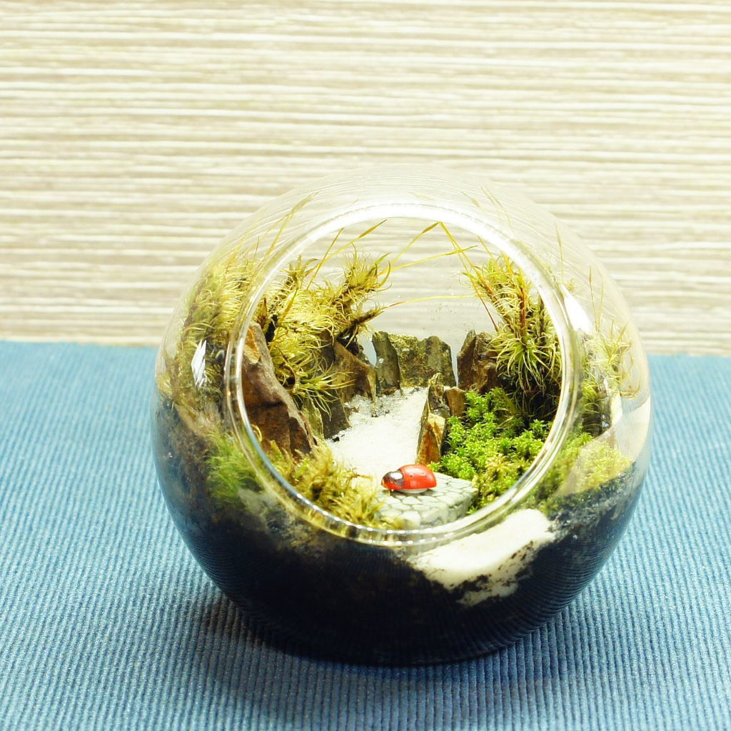 橋の向こうは知らない — 南信州産 苔テラリウム 完成品