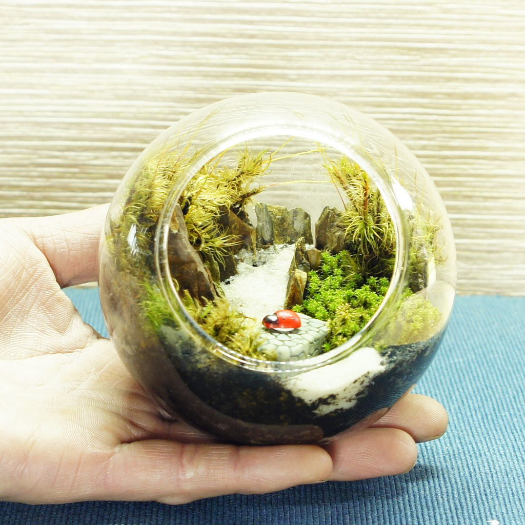 橋の向こうは知らない — 南信州産 苔テラリウム 完成品
