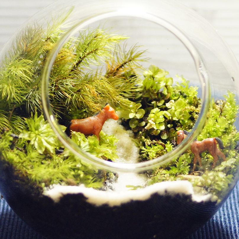 馬（黒茶）｜苔テラリウム用ミニチュア