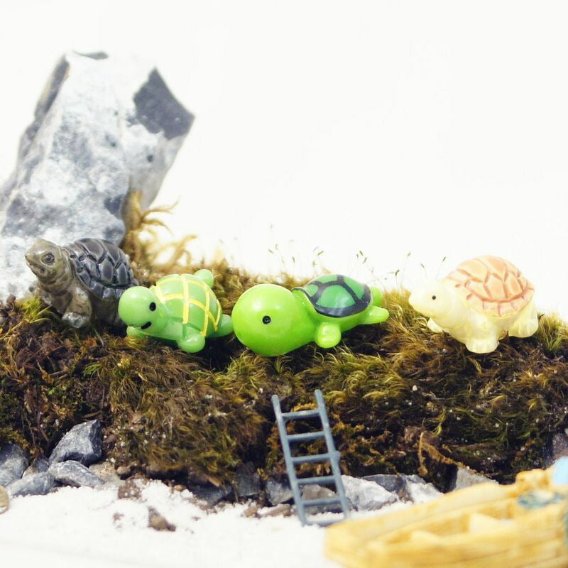 カメ（色柄違い）｜苔テラリウム用ミニチュア