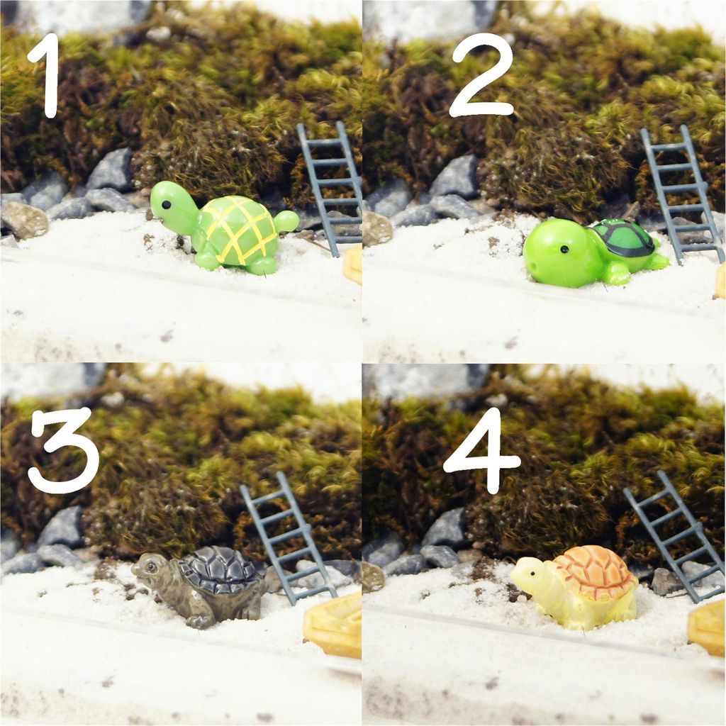 カメ（色柄違い）｜苔テラリウム用ミニチュア
