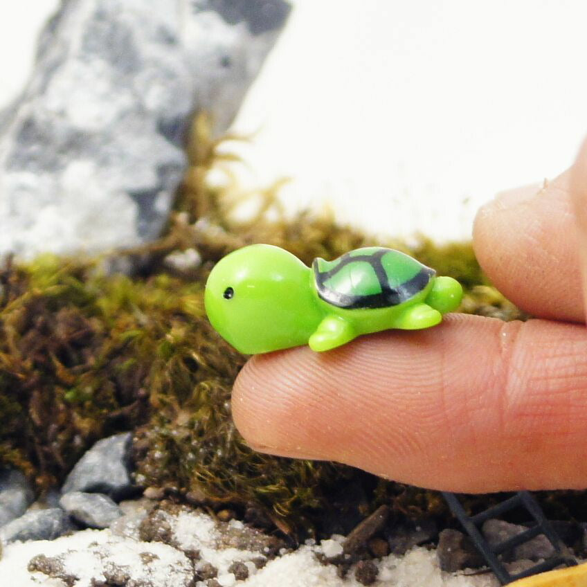 カメ（色柄違い）｜苔テラリウム用ミニチュア