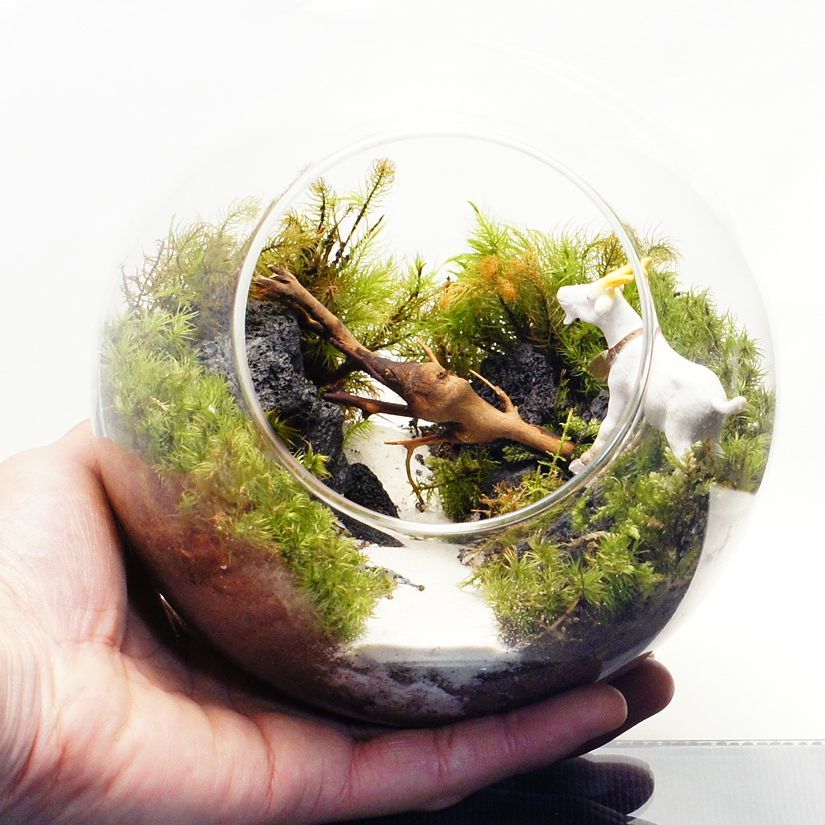ヤギとガラガラドン — 南信州産 苔テラリウム 完成品 LEDライト付