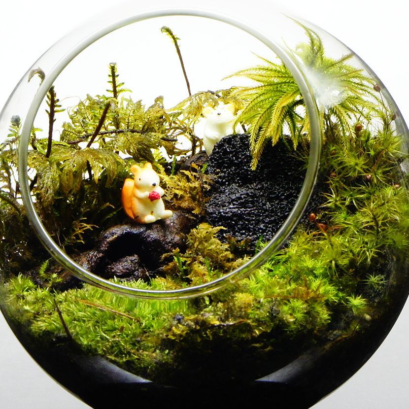 小動物のいる森 — 南信州産 苔テラリウム 完成品