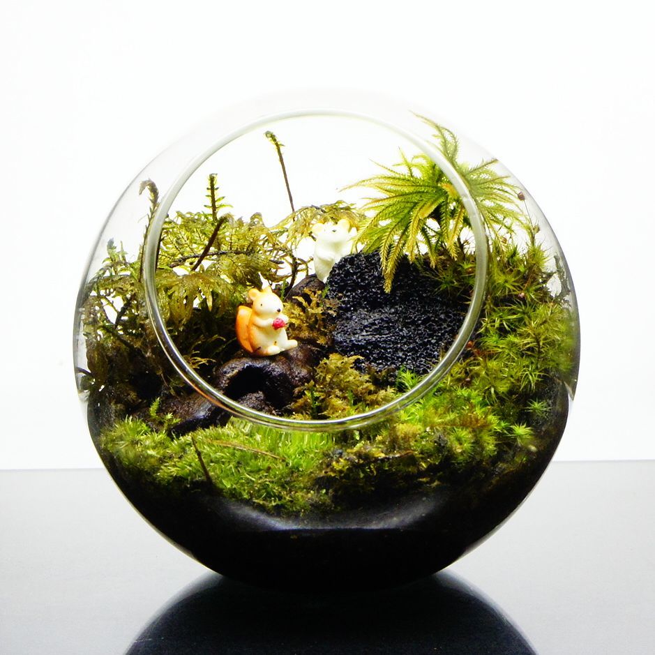 小動物のいる森 — 南信州産 苔テラリウム 完成品