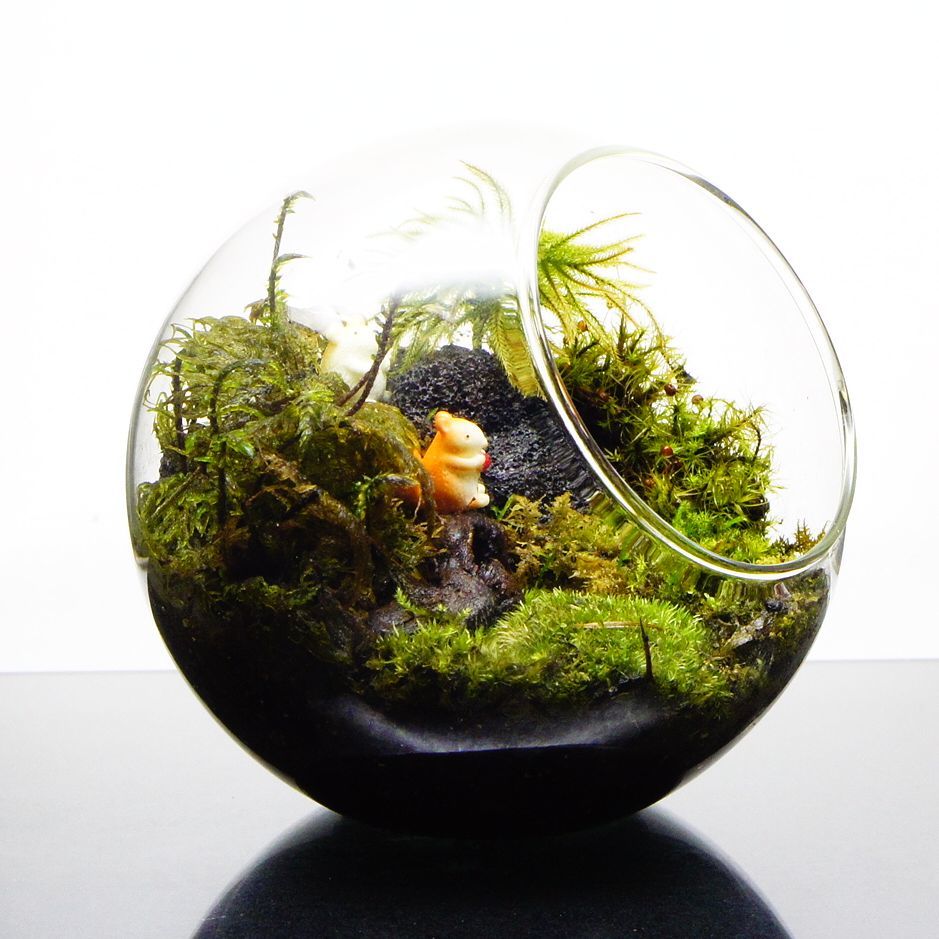 小動物のいる森 — 南信州産 苔テラリウム 完成品