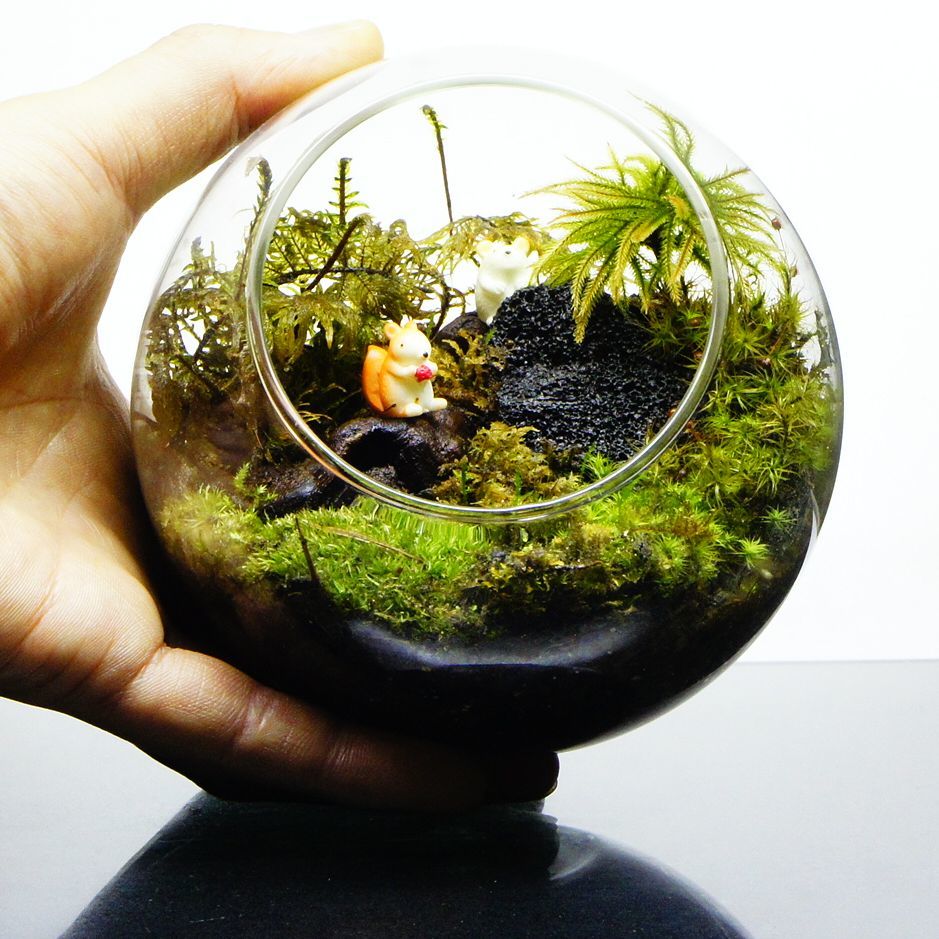 小動物のいる森 — 南信州産 苔テラリウム 完成品