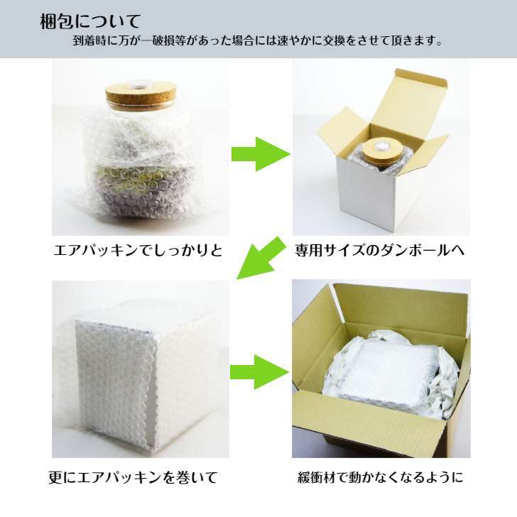 風吹く森の階段 — 南信州産 苔テラリウム 完成品 LEDライト付