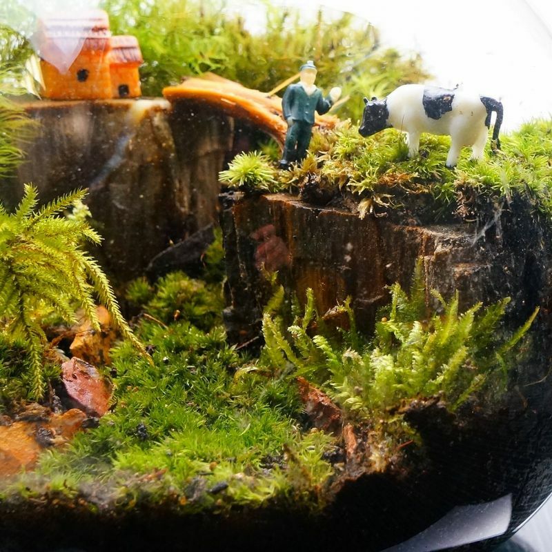 牛と暮らす日常 — 南信州産 苔テラリウム 完成品 LEDライト付