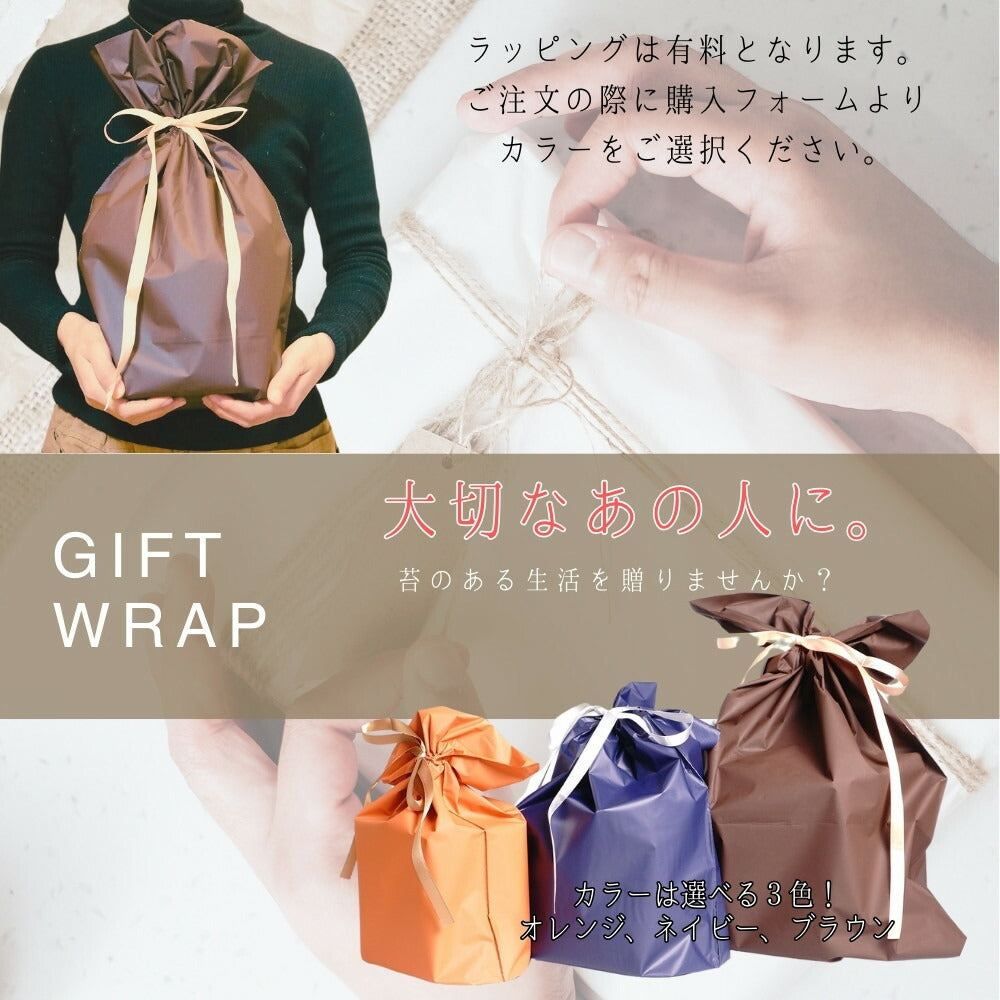 羽を休めて — 南信州産 苔テラリウム 完成品