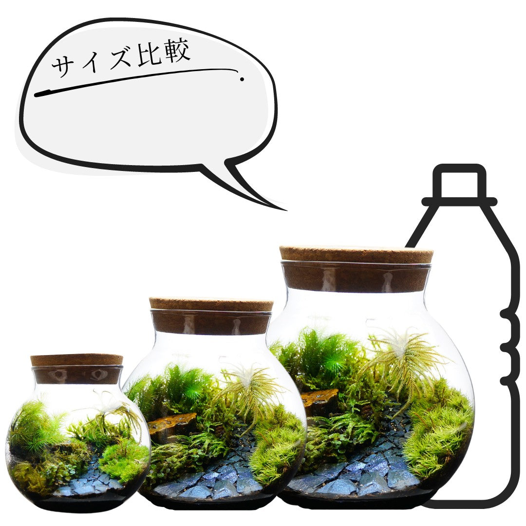 川の流れる風景 — 南信州産 苔テラリウム 完成品 LEDライト付