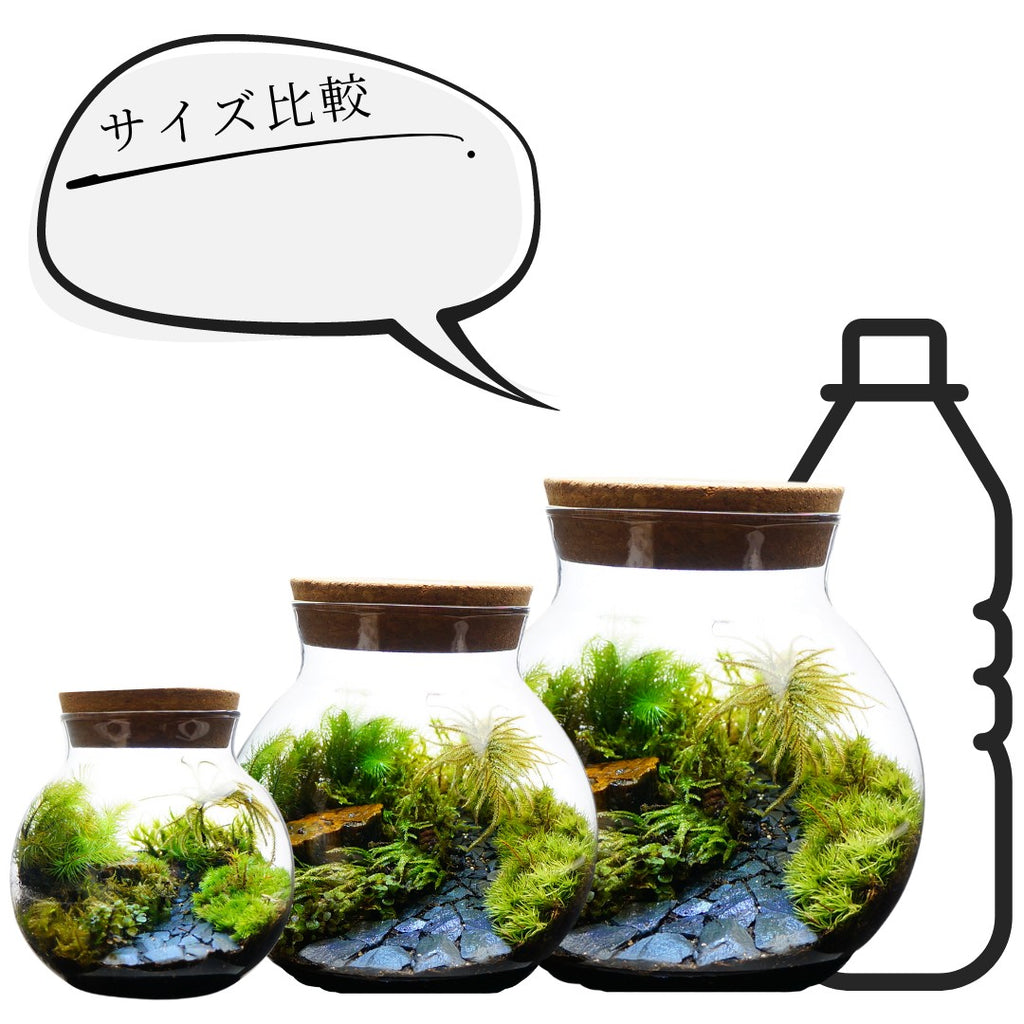 和風庭園 — 南信州産 苔テラリウム 完成品 LEDライト付