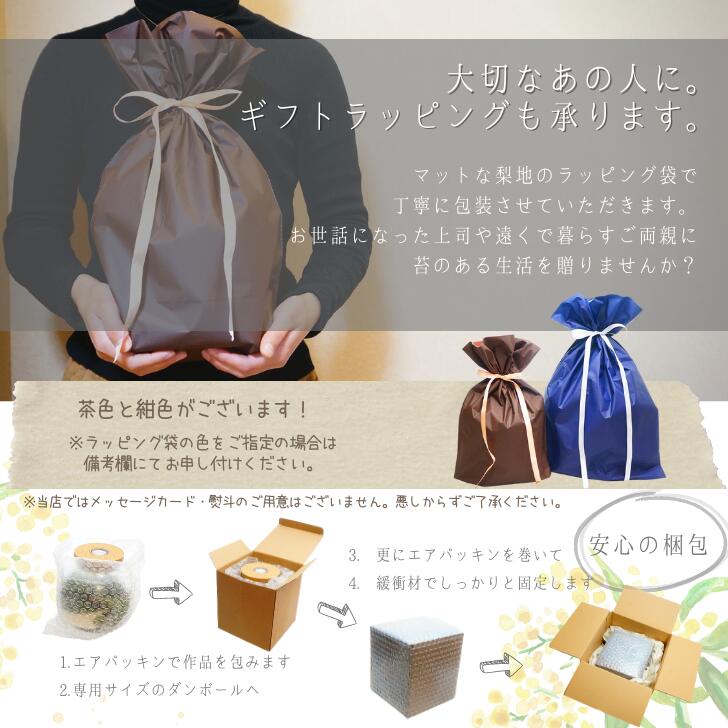 川の流れる風景 — 南信州産 苔テラリウム 完成品 LEDライト付