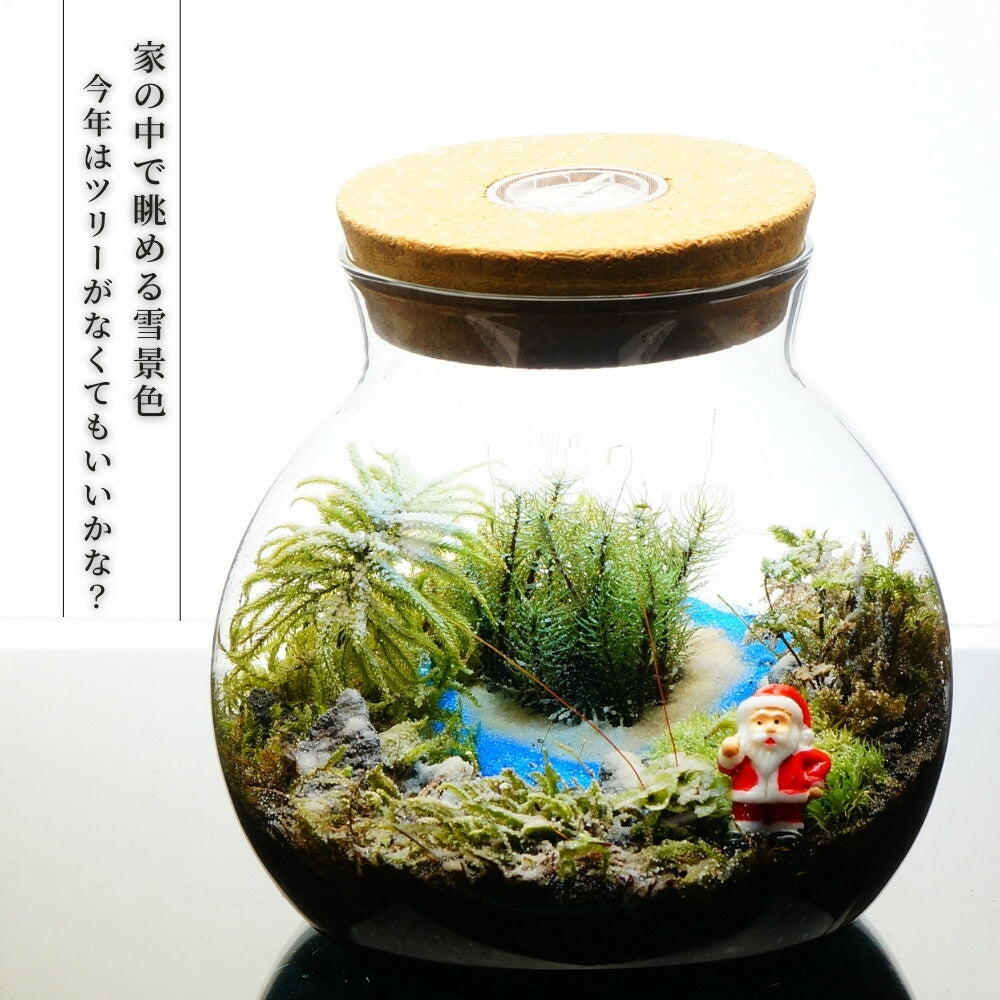 雪景色 — 南信州産 苔テラリウム 完成品 LEDライト付