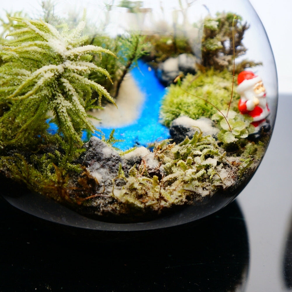 雪景色 — 南信州産 苔テラリウム 完成品 LEDライト付