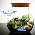 窓の外はまだ降っている — 南信州産 苔テラリウム 完成品 LEDライト付