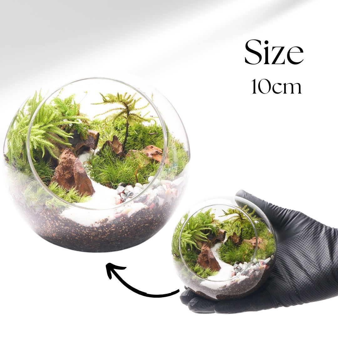 和風砂利 — 南信州産 苔テラリウム 完成品