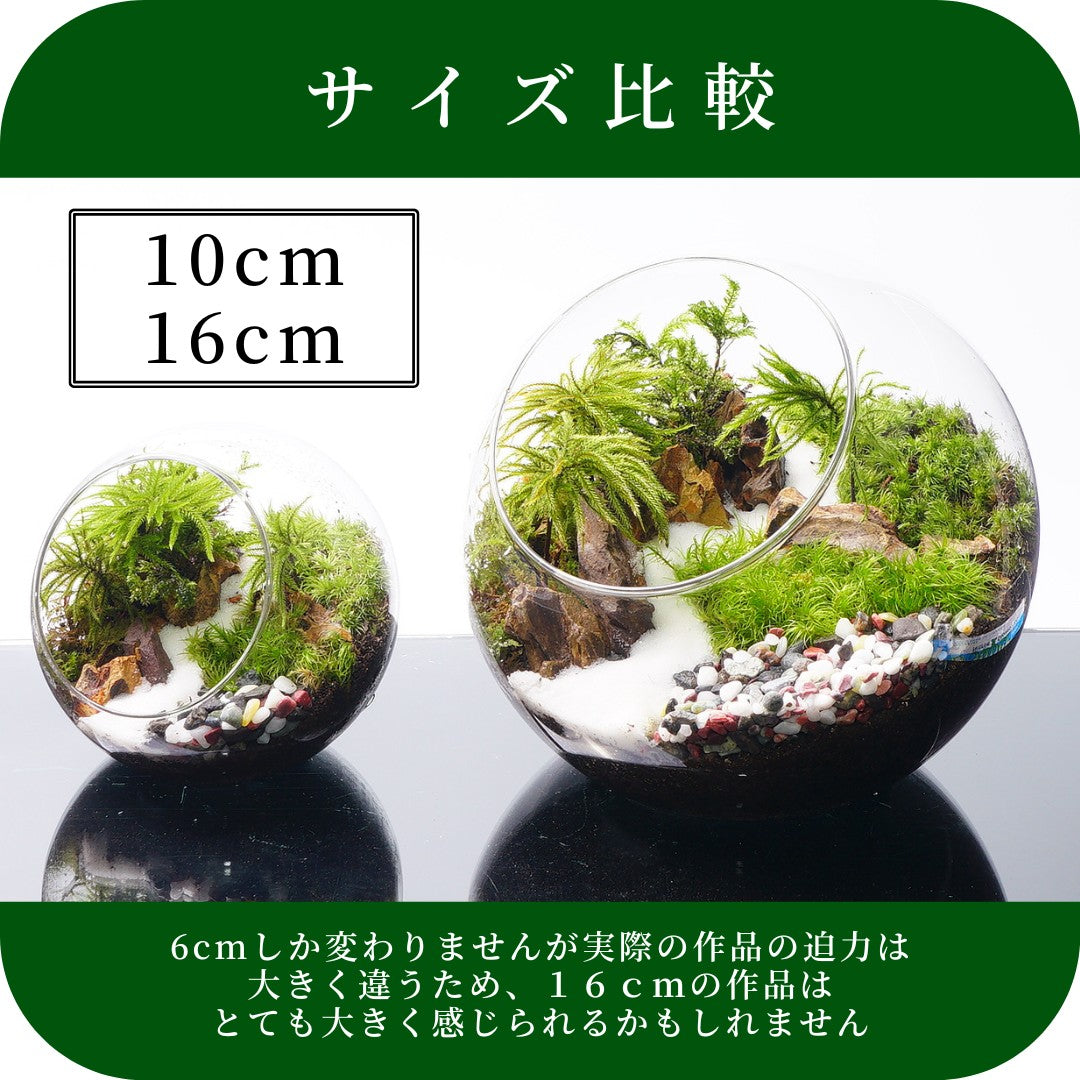 和風砂利 — 南信州産 苔テラリウム 完成品