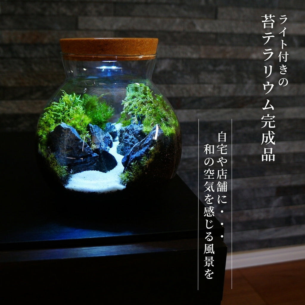 和風庭園 — 南信州産 苔テラリウム 完成品 LEDライト付