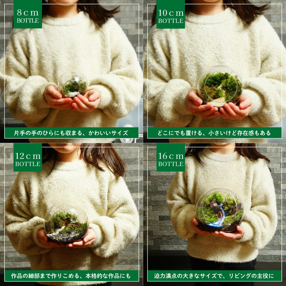 降り止むまで、ここで — 南信州産 苔テラリウム 完成品