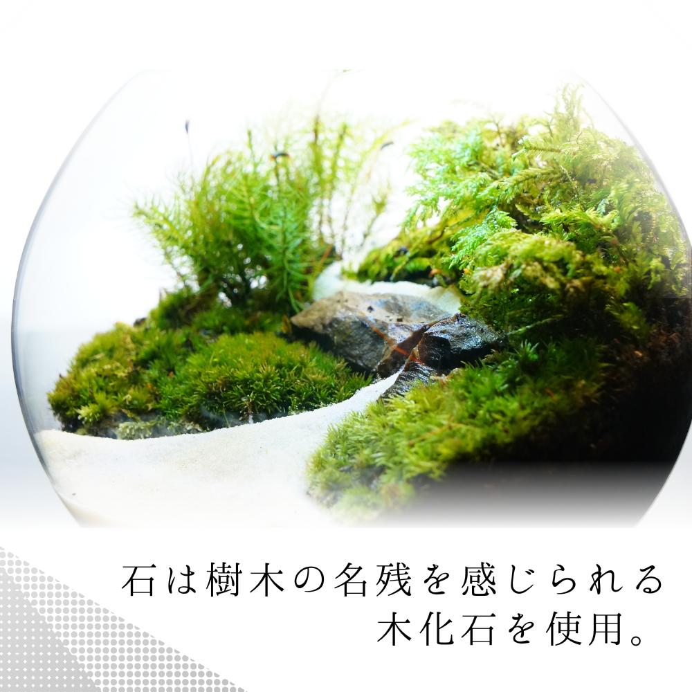 川の流れる風景 — 南信州産 苔テラリウム 完成品 LEDライト付