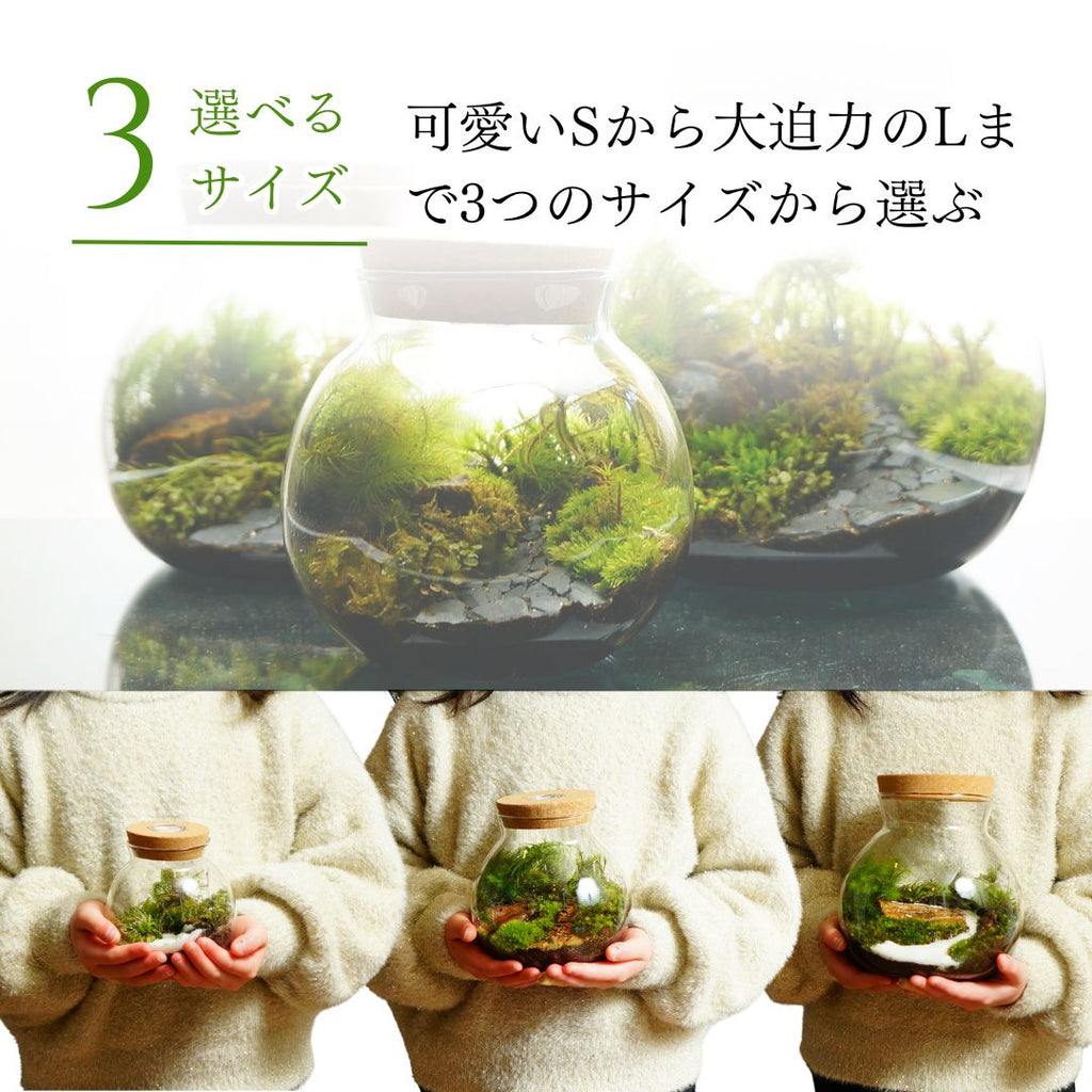 急がなくていい日 — 南信州産 苔テラリウム 完成品