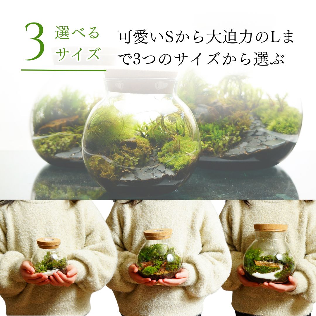 羽を休めて — 南信州産 苔テラリウム 完成品